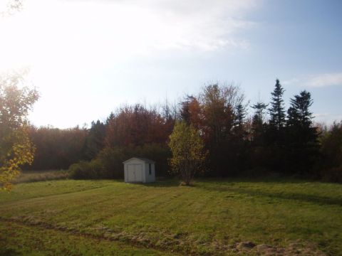 rear with shed