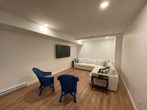 Lower level family/tv room 