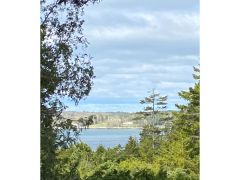 Looking toward Somes Sound from the deck at Pool Corner 